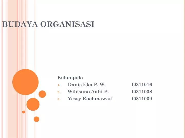 budaya organisasi