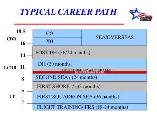 TYPICAL CAREER PATH