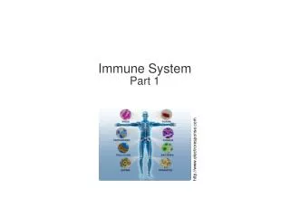 Immune System Part 1