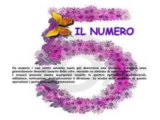 il numero