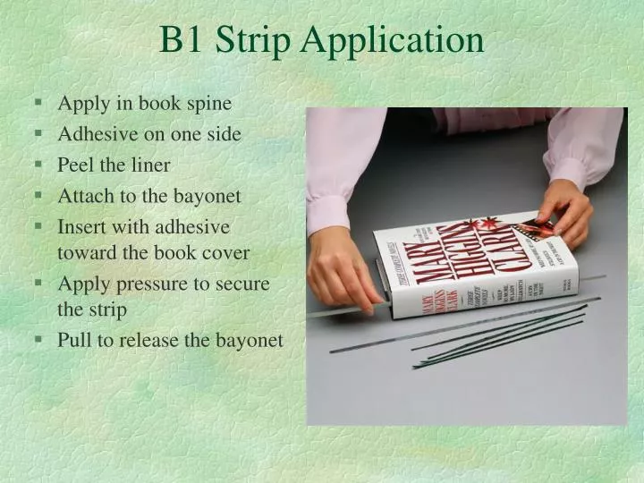 b1 strip application