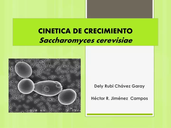 cinetica de crecimiento saccharomyces cerevisiae