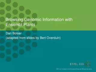 Browsing Genomic Information with Ensembl Plants