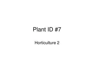 Plant ID #7