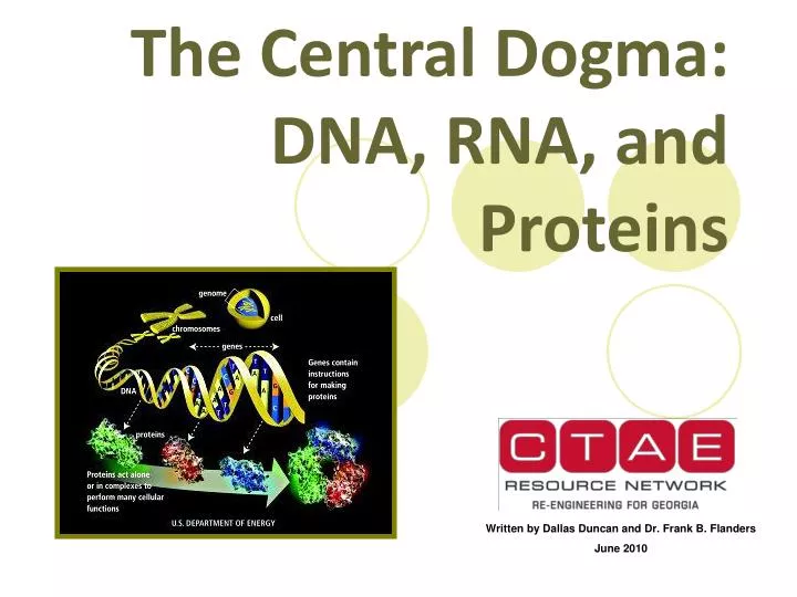 the central dogma dna rna and proteins