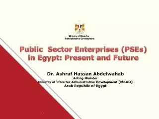 Public Sector Enterprises (PSEs) in Egypt: Present and Future