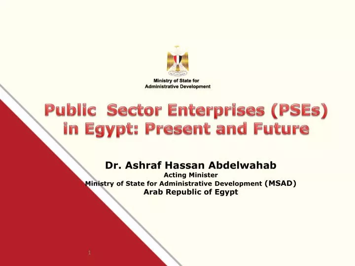 public sector enterprises pses in egypt present and future