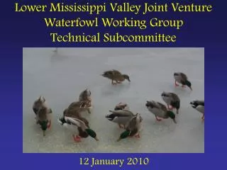 Lower Mississippi Valley Joint Venture Waterfowl Working Group Technical Subcommittee
