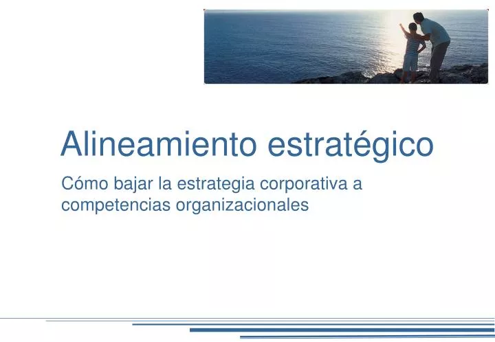 alineamiento estrat gico