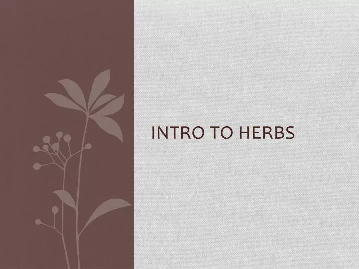 intro to herbs