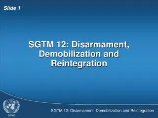 SGTM 12: Disarmament, Demobilization and Reintegration