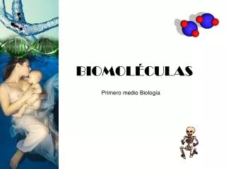 biomol culas