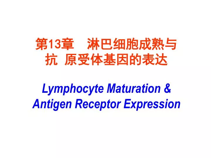 13 lymphocyte maturation antigen receptor expression