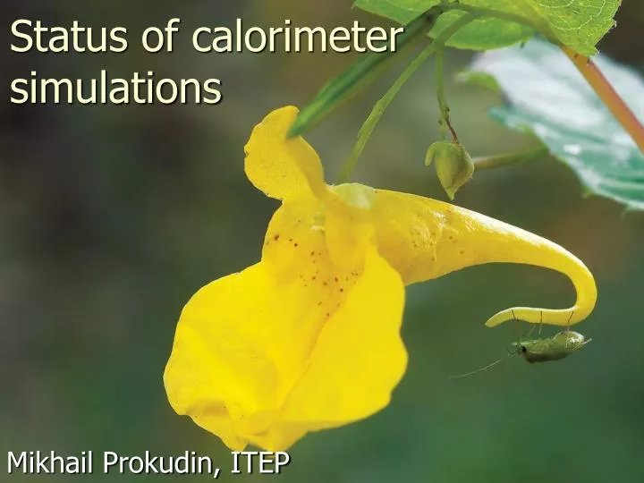status of calorimeter simulations