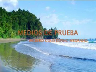 medios de prueba