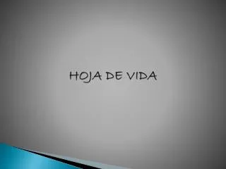 hoja de vida