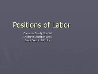 Positions of Labor