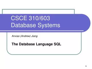 CSCE 310/603 Database Systems
