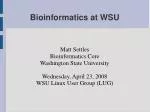 Bioinformatics at WSU - slide 1