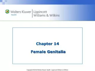 Chapter 14 Female Genitalia