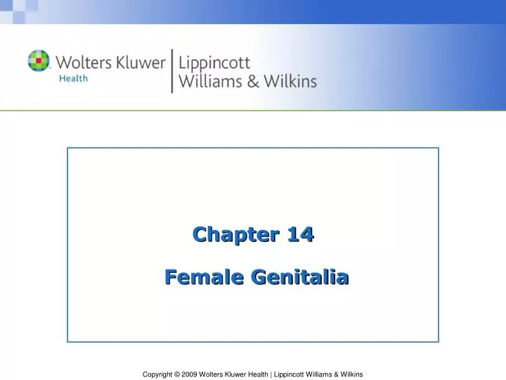 chapter 14 female genitalia