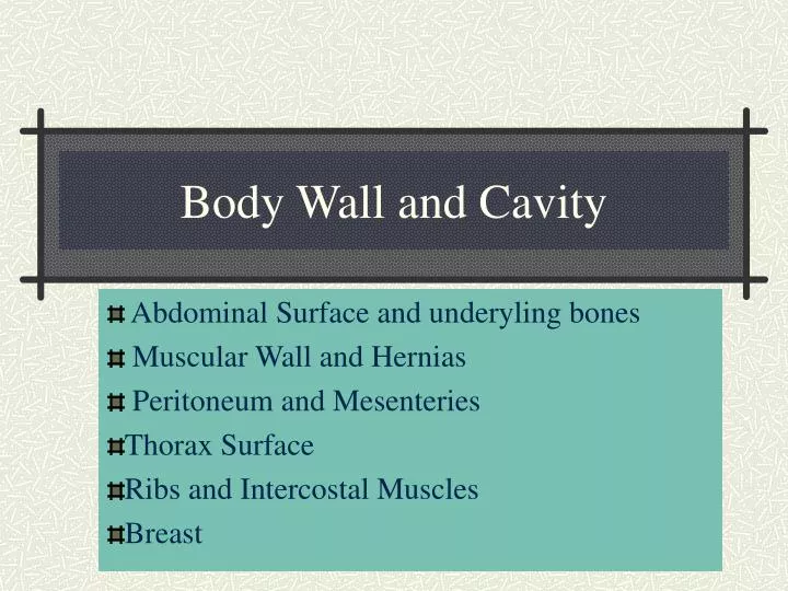 body wall and cavity