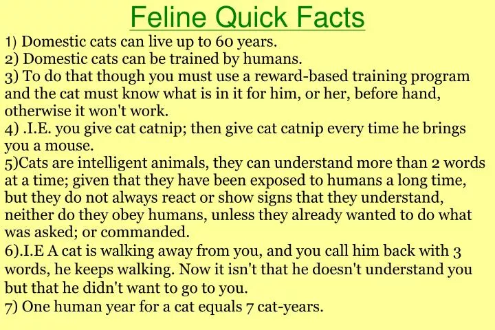feline quick facts