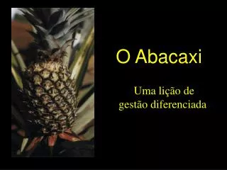o abacaxi