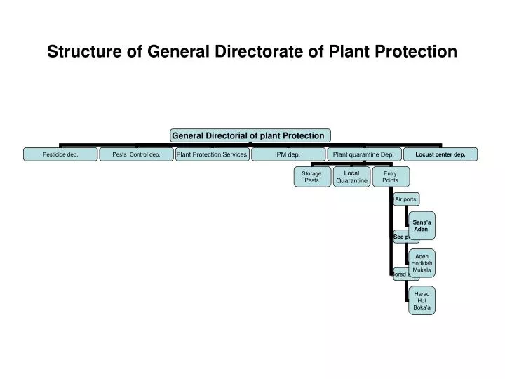 structure of general directorate of plant protection