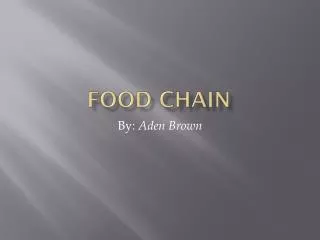 food chain