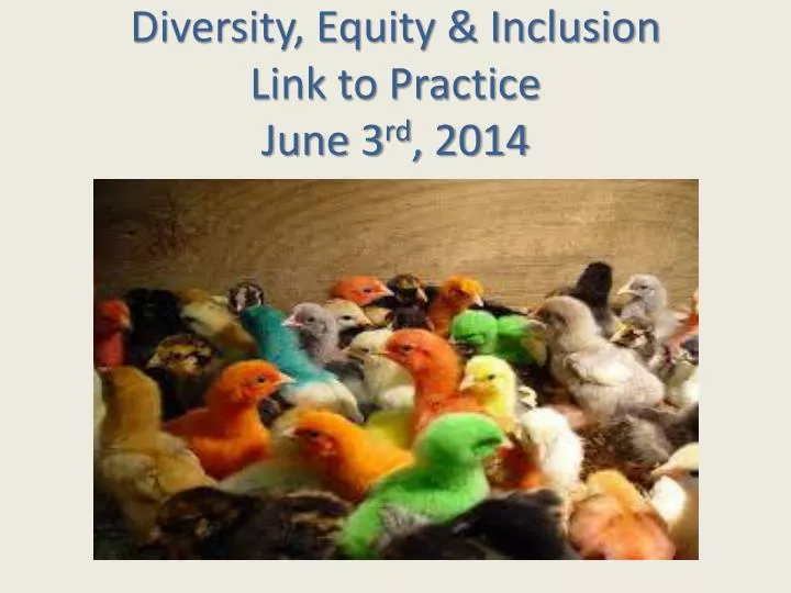 diversity equity inclusion link to practice june 3 rd 2014
