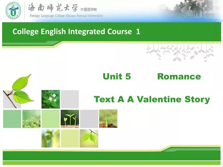 unit 5 romance text a a valentine story