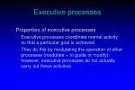 Understanding Executive Processes in Brain Function - slide 1