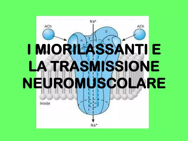 i miorilassanti e la trasmissione neuromuscolare