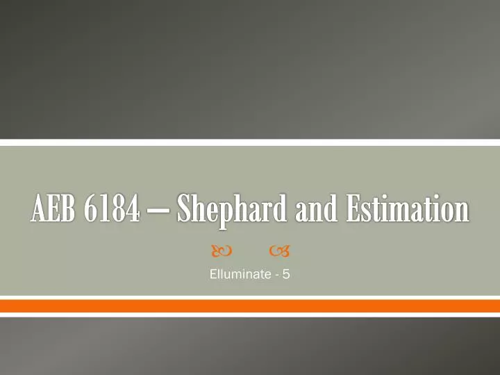 aeb 6184 shephard and estimation