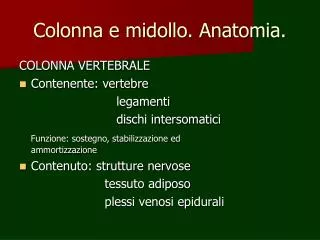 colonna e midollo anatomia