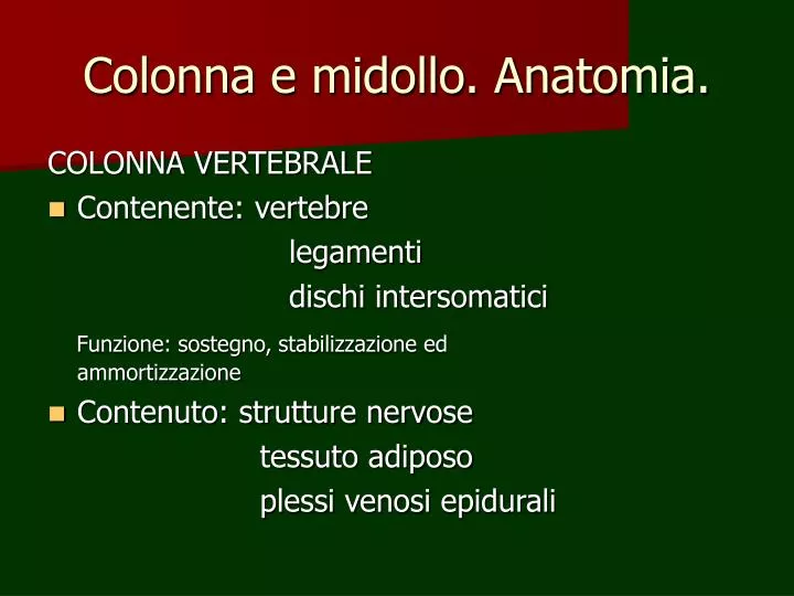 colonna e midollo anatomia