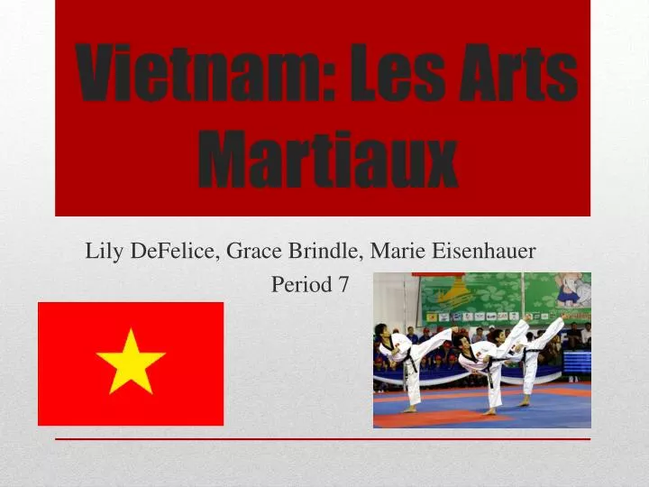 vietnam les arts martiaux