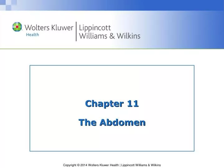chapter 11 the abdomen