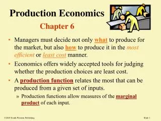 Production Economics Chapter 6