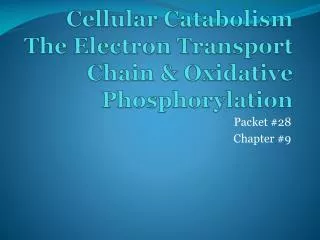 Cellular Catabolism The Electron Transport Chain &amp; Oxidative Phosphorylation