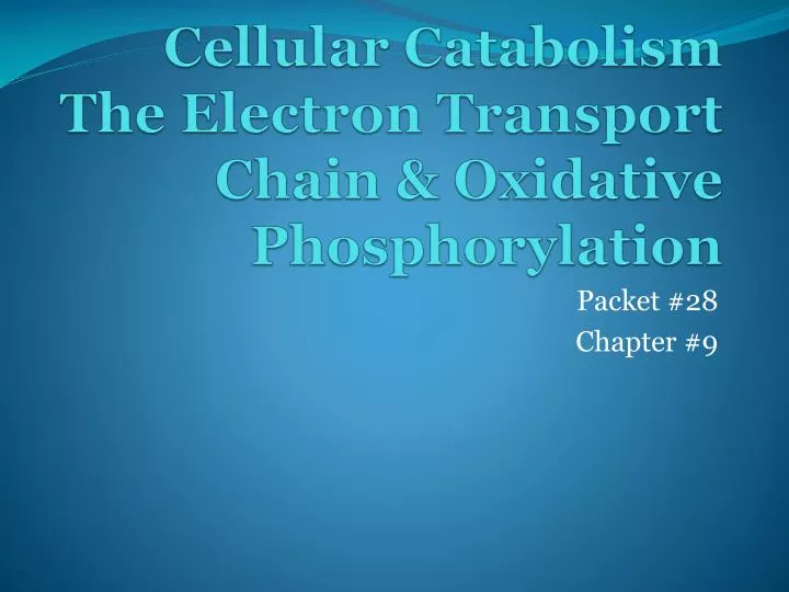 cellular catabolism the electron transport chain oxidative phosphorylation