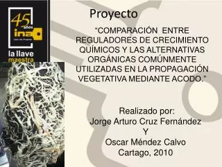 proyecto