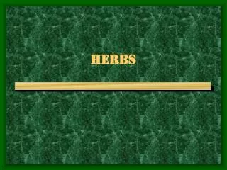 HERBS