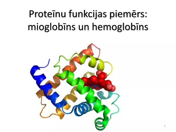 prote nu funkcijas piem rs mioglob ns un hemoglob ns