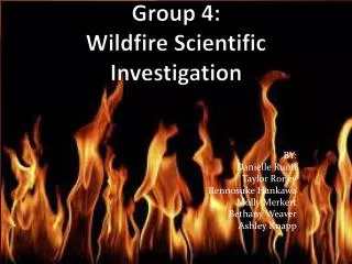 Group 4: Wildfire Scientific Investigation