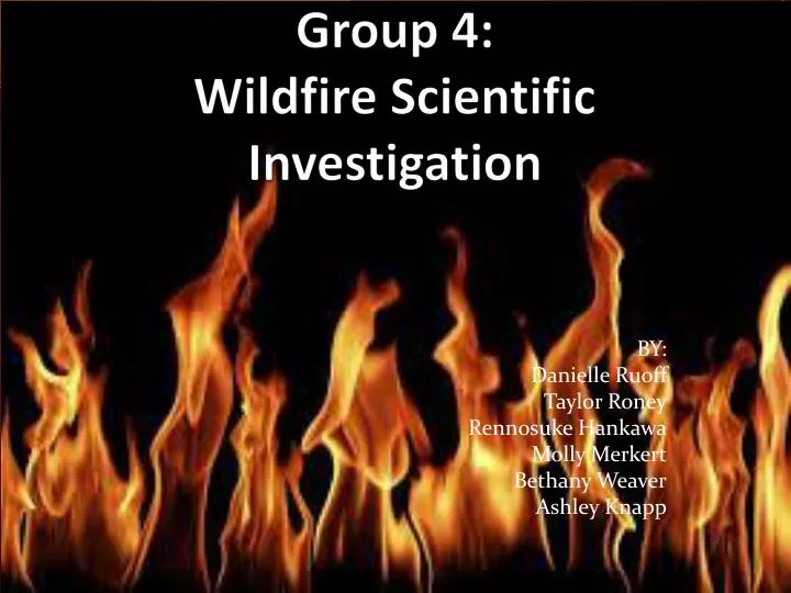 group 4 wildfire scientific investigation