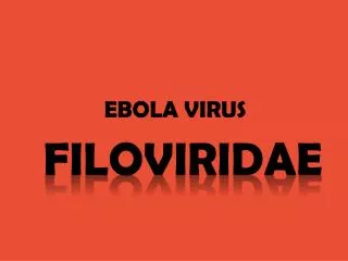 ebola virus