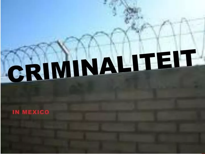 criminaliteit