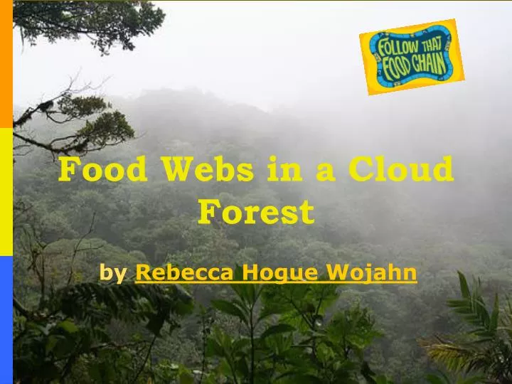 food webs in a cloud forest